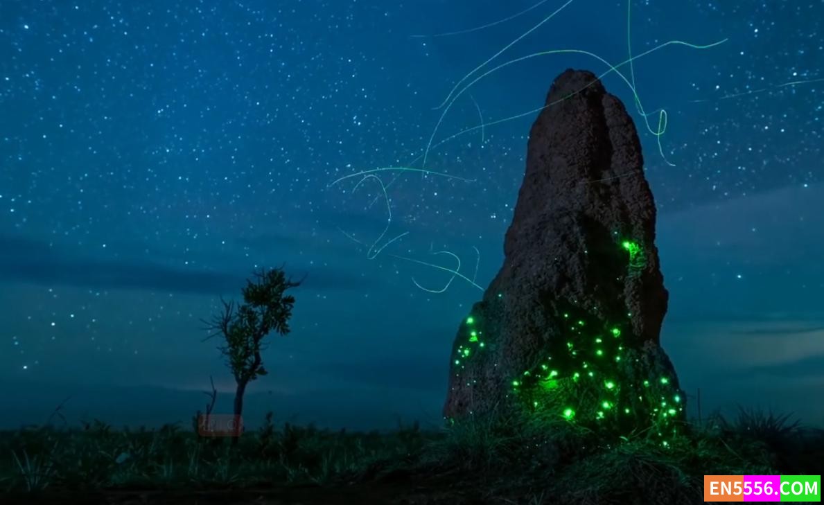 BBC夜色中的地球 第一季 Earth at Night in Color Season 1 中英双语字幕1080P6424 作者:lc841030 帖子ID:273286 