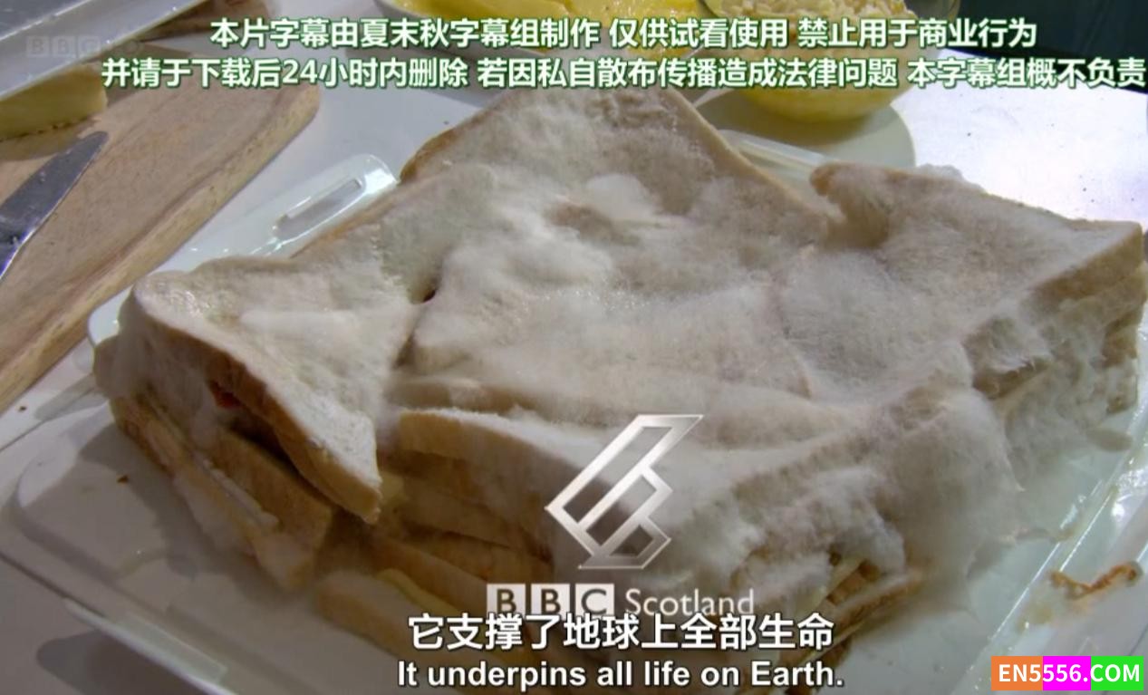BBC.生命循环奇异的腐烂科学 双语字幕6427 作者:lc841030 帖子ID:273292 