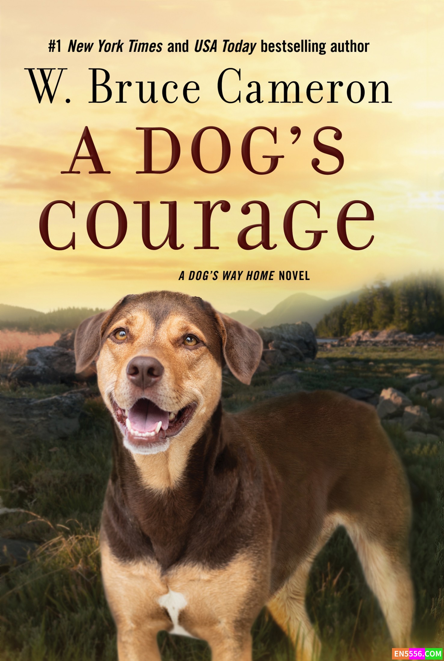 A Dog's Purpose 一条狗的使命系列（3册）MP3+电子书818 作者:wx_d6f74ebc46 帖子ID:268349 
