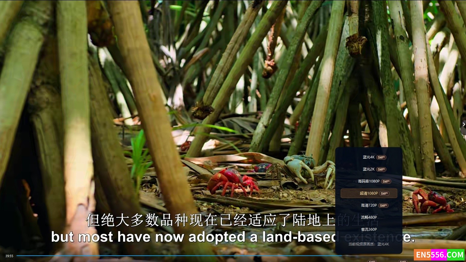 [BBC高清] 地球脉动 第二季 Planet Earth Season 2 中英双语字幕 4K/2K/1080P 百度云网盘3904 作者:one 帖子ID:255136 