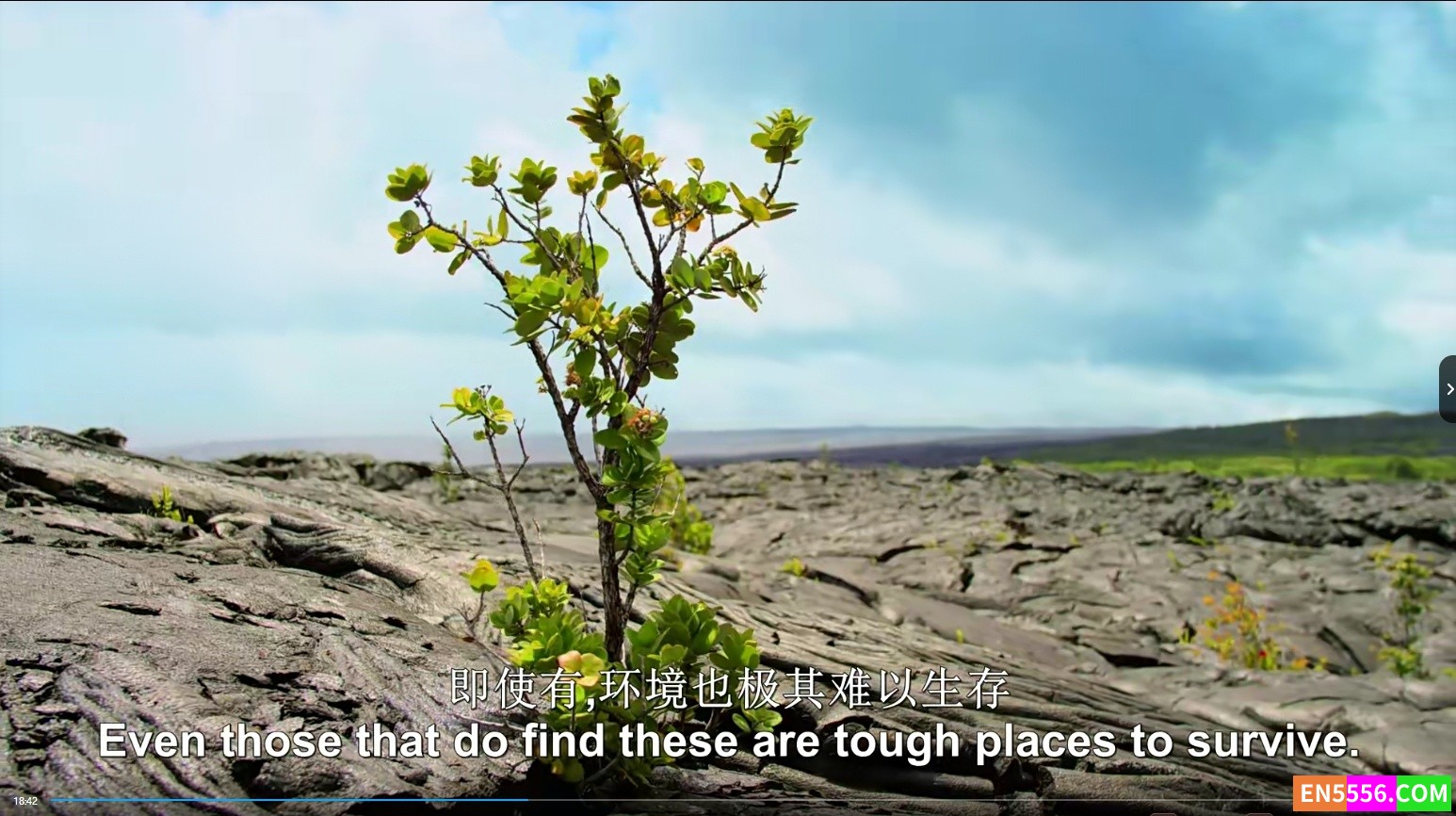 [BBC高清] 地球脉动 第二季 Planet Earth Season 2 中英双语字幕 4K/2K/1080P 百度云网盘4906 作者:one 帖子ID:255136 