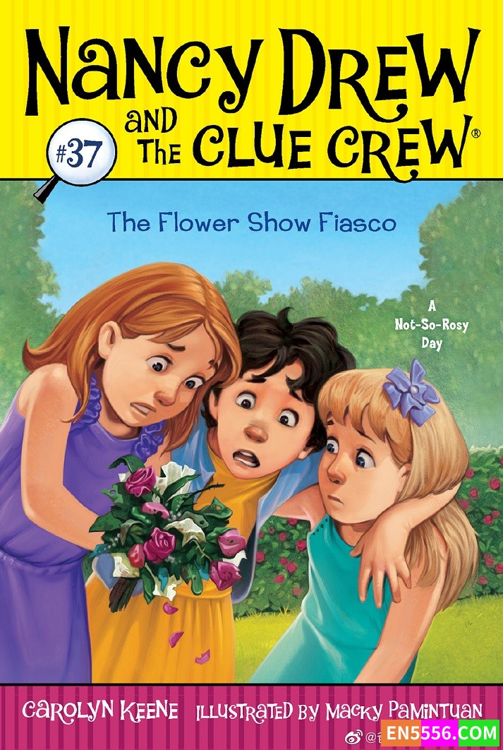 南茜·朱尔系列 Nancy Drew and the Clue Crew 共40本 电子书mobi+epub852 作者:英语小助手 帖子ID:274179 