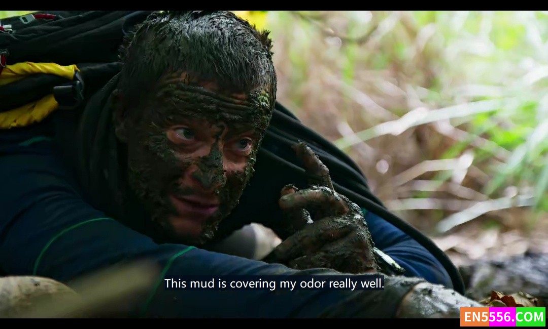 You vs. Wild 贝尔对战荒野 第1季全 第1-8集 1080p 内置中英文等多国语言字幕9198 作者:英语小助手 帖子ID:274822 