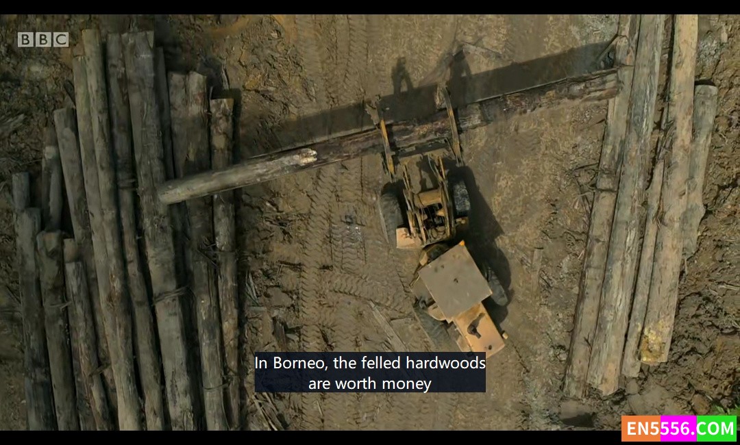 The Earthshot Prize: Repairing Our Planet 第1季全 第1-5集 1080p 内置英文字幕254 作者:英语小助手 帖子ID:274890 