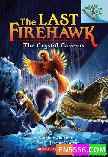 The Last Firehawk Series 1-10 - Katrina Charman 电子书azw3 [A Branches Book]6461 作者:英语小助手 帖子ID:275353 
