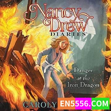 Nancy Drew Diaries Series 1-22+1- Carolyn Keene 有声书音频MP3+电子书5904 作者:英语小助手 帖子ID:275437 