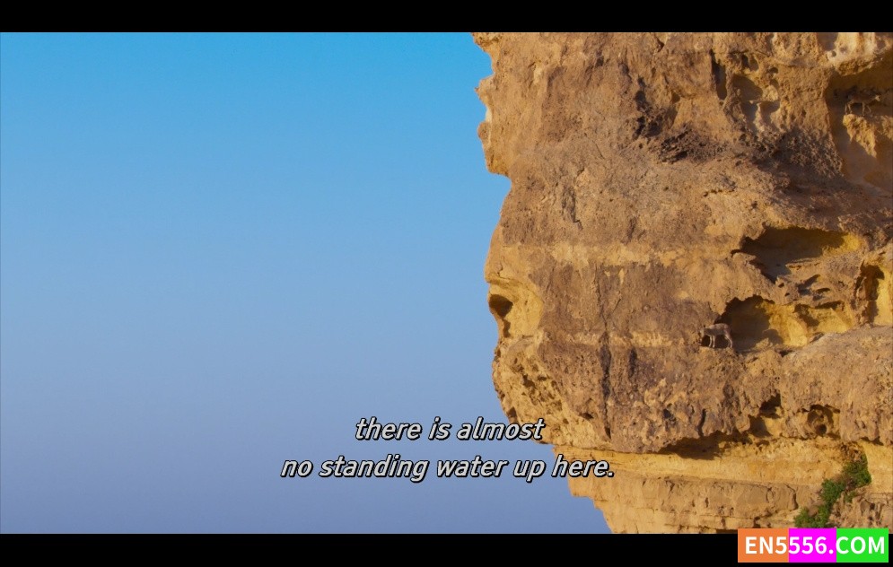 Planet Earth 地球脉动 第1-2季全 共17集 1080p 外挂英文字幕8765 作者:英语小助手 帖子ID:275468 