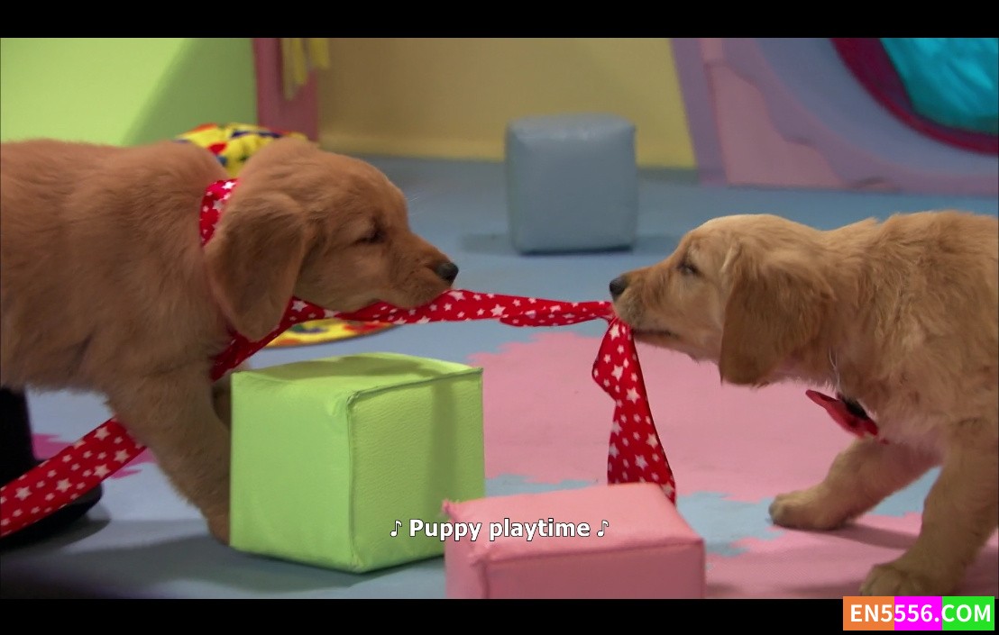 Mutt &amp; Stuff 第1-2季全 1080p, mkv, 内置英文字幕4273 作者:英语小助手 帖子ID:275517 