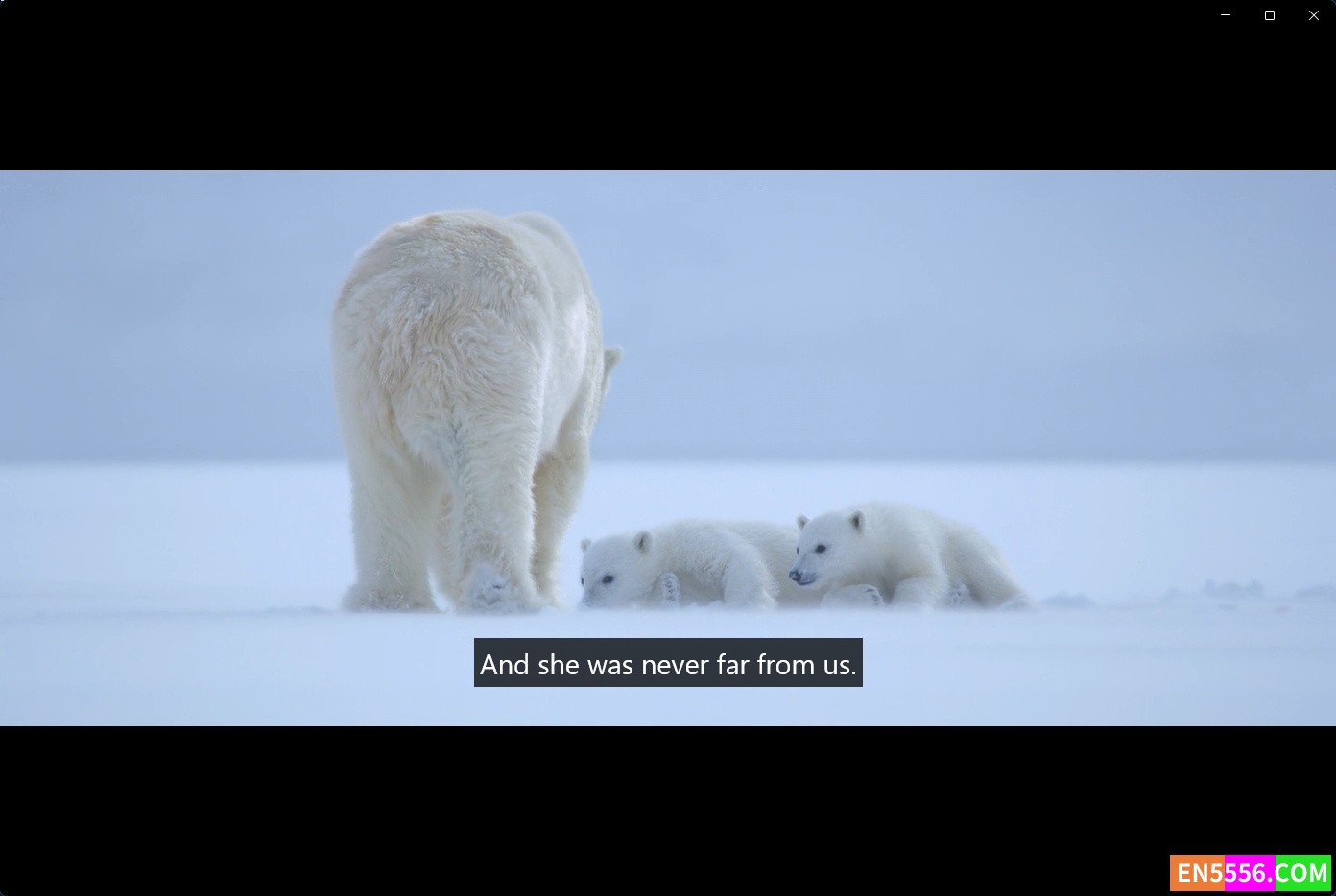 Polar Bear (2022) 北极熊 1080p, mp4, srt外挂英文字幕4135 作者:英语小助手 帖子ID:276206 