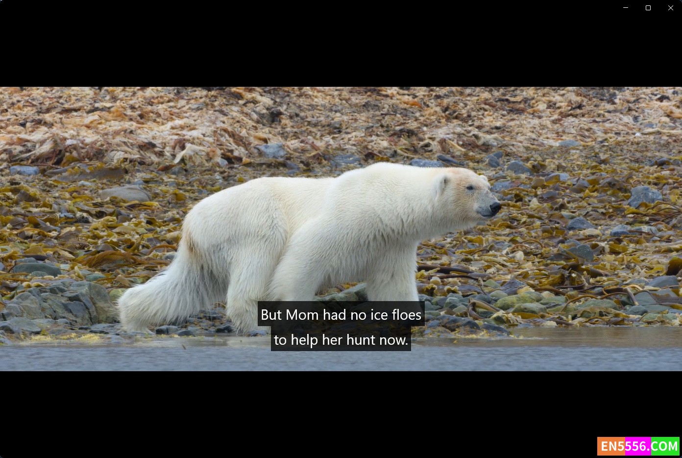 Polar Bear (2022) 北极熊 1080p, mp4, srt外挂英文字幕231 作者:英语小助手 帖子ID:276206 