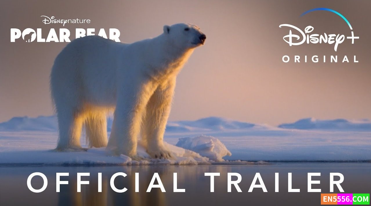 Polar Bear (2022) 北极熊 1080p, mp4, srt外挂英文字幕4445 作者:英语小助手 帖子ID:276206 