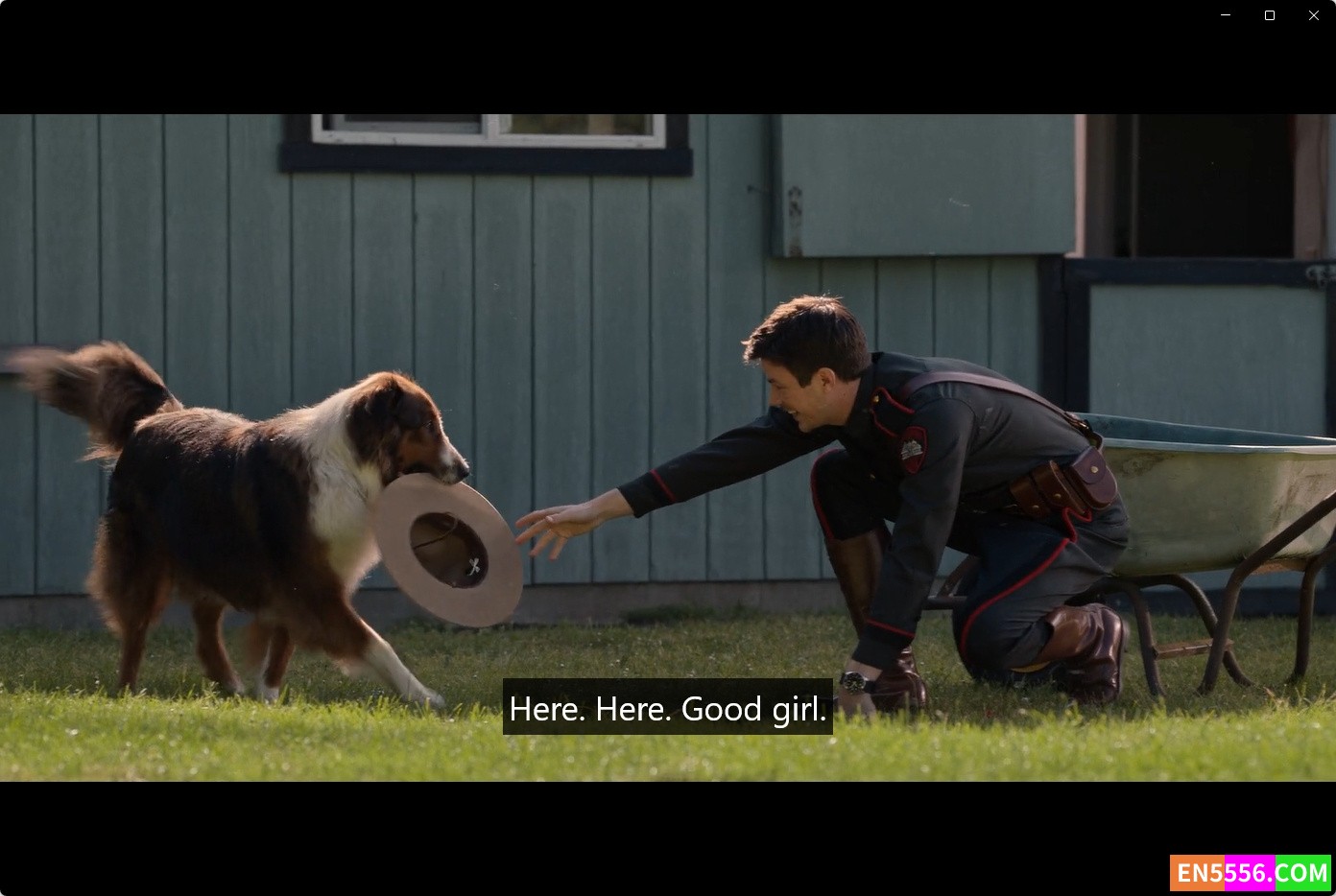 Rescued by Ruby (2022) 搜救犬露比 - 1080p, mp4, srt外挂英文字幕4040 作者:英语小助手 帖子ID:276256 