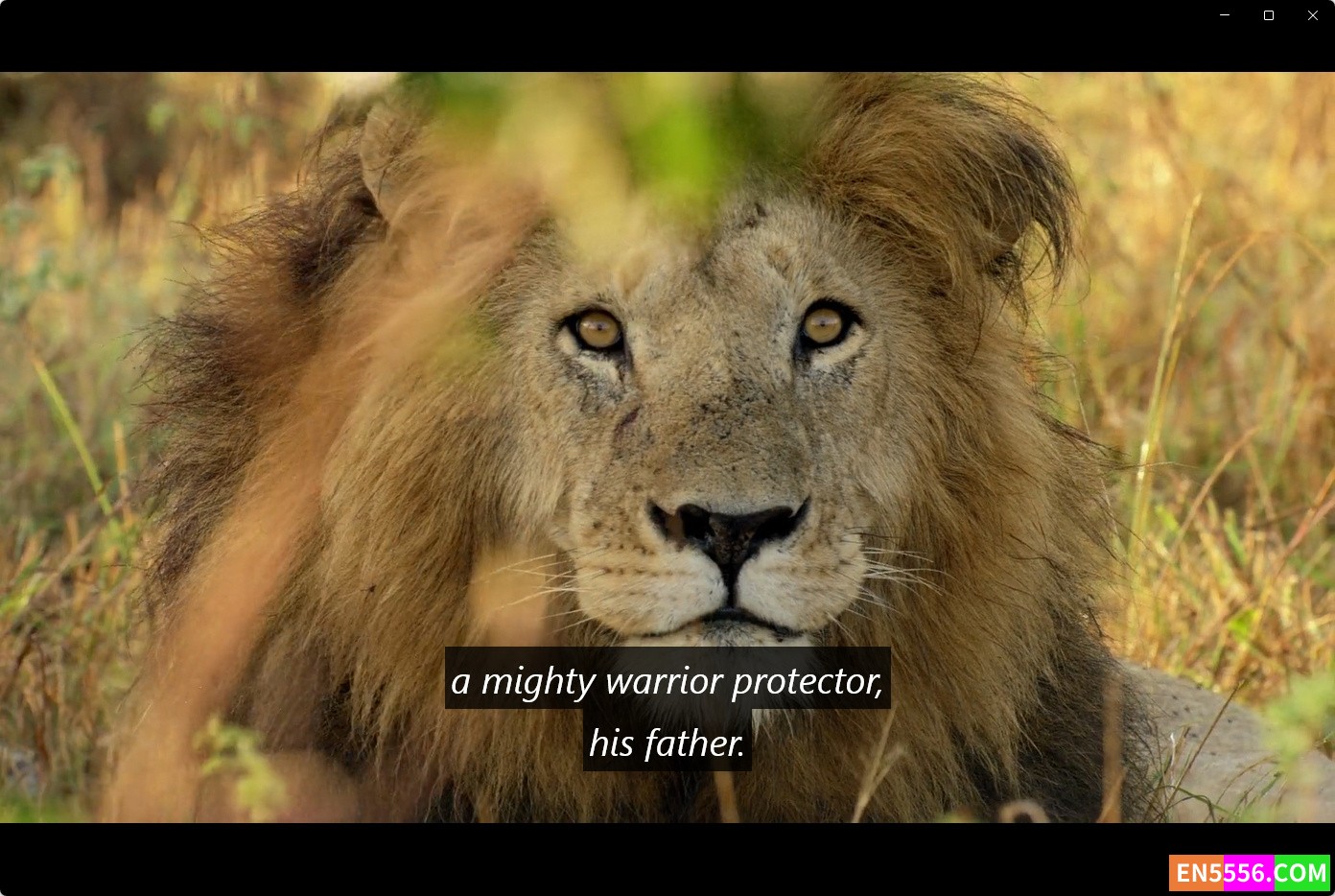 Disneynature: Growing Up Wild (2016) 大自然成长记 1080p, mp4, srt外挂英文字幕9336 作者:英语小助手 帖子ID:276280 