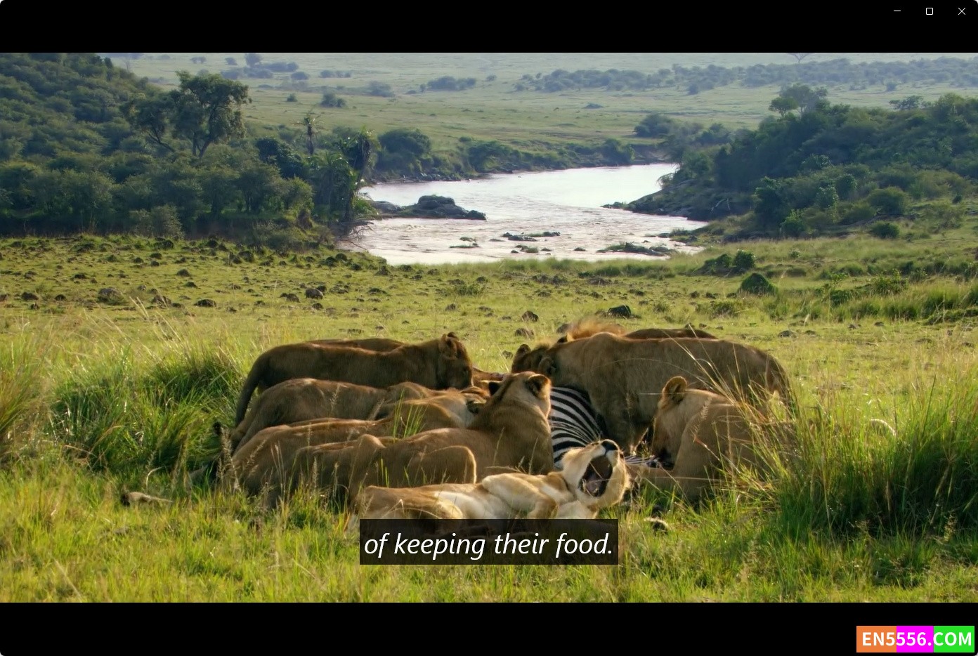 Disneynature: Growing Up Wild (2016) 大自然成长记 1080p, mp4, srt外挂英文字幕8312 作者:英语小助手 帖子ID:276280 