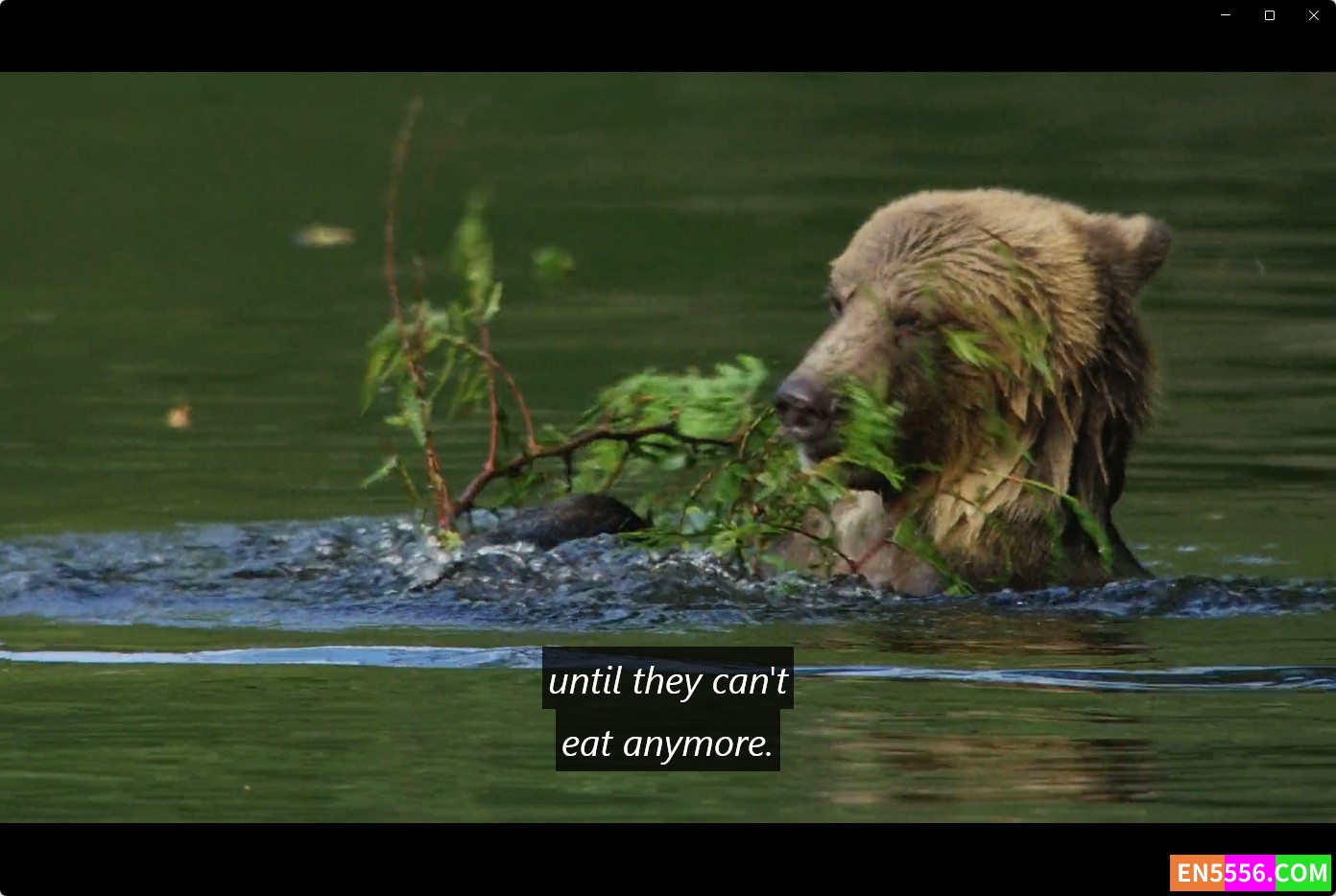 Disneynature: Growing Up Wild (2016) 大自然成长记 1080p, mp4, srt外挂英文字幕7363 作者:英语小助手 帖子ID:276280 