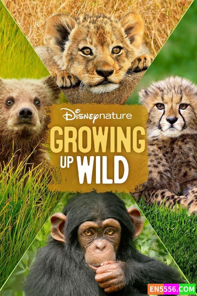 Disneynature: Growing Up Wild (2016) 大自然成长记 1080p, mp4, srt外挂英文字幕7933 作者:英语小助手 帖子ID:276280 
