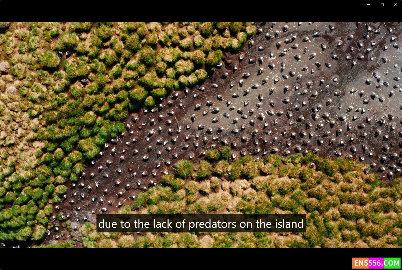 Our Great National Parks 我们的伟大国家公园 第1季全 第1-5集 1080p 内置英文/中文可选字幕8250 作者:英语小助手 帖子ID:276353 