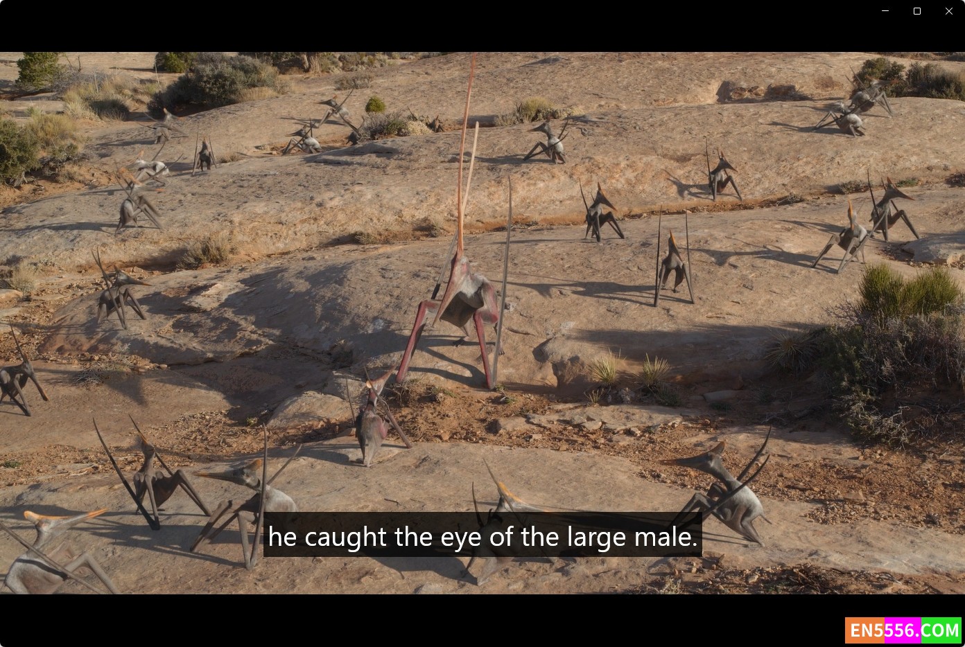 Prehistoric Planet (2022) 史前地球 - 自然类纪录片 1季全 1080p 内置英文/中文可选字幕257 作者:英语小助手 帖子ID:276800 