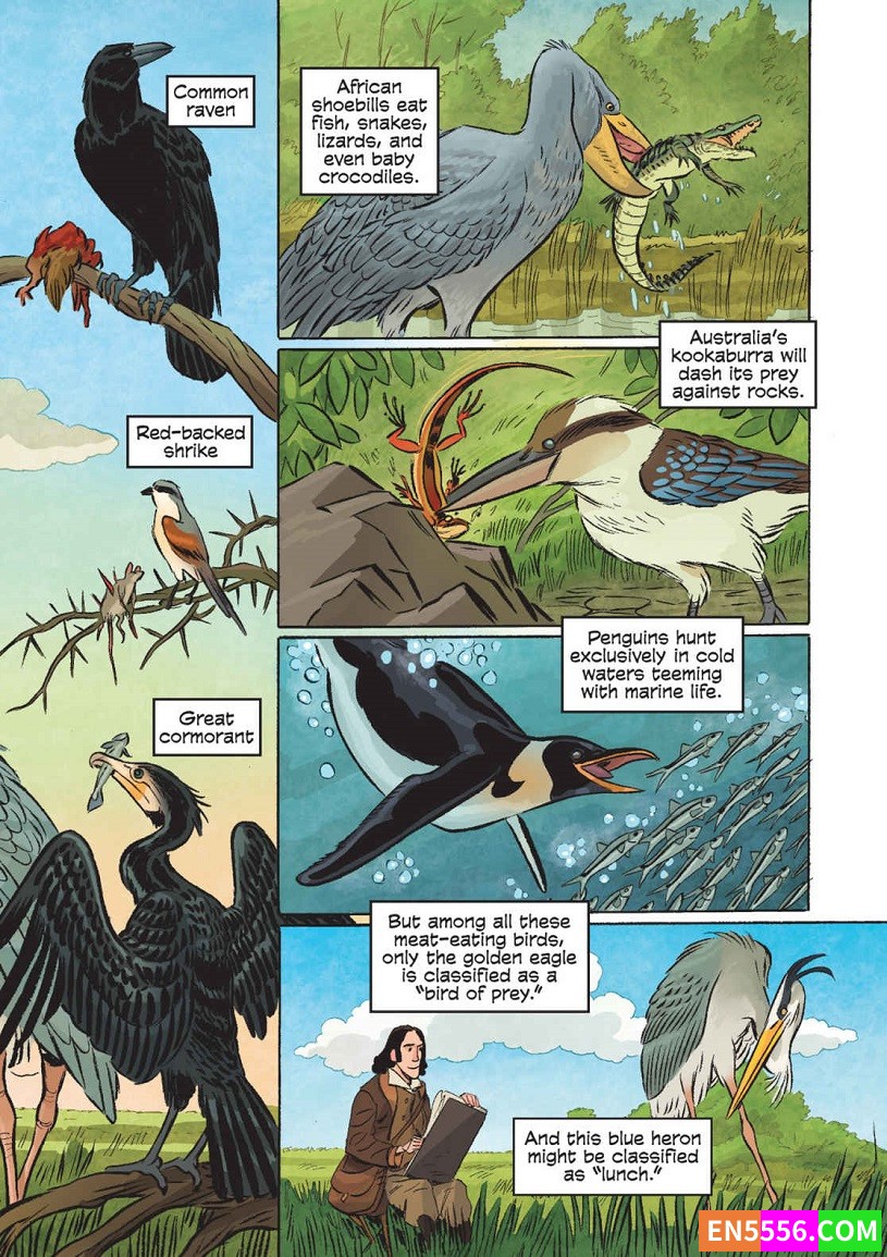 Science Comics Series - 1-23 Books 科学漫画系列 - 电子漫画书cbr1126 作者:英语小助手 帖子ID:277031 