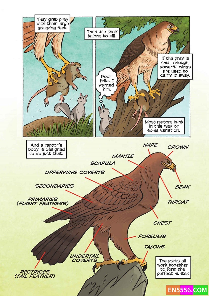 Science Comics Series - 1-23 Books 科学漫画系列 - 电子漫画书cbr7386 作者:英语小助手 帖子ID:277031 
