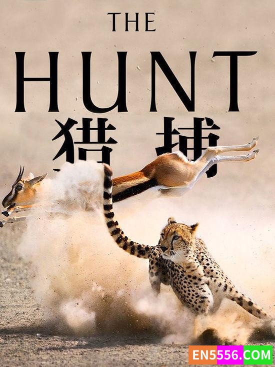 BBC 纪录片《猎捕》(The Hunt)英语解说中英字幕1689 作者:eryu 帖子ID:277539 