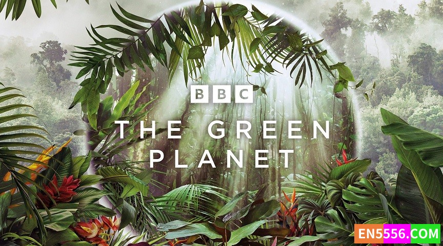 The Green Planet 绿色星球 第1季全 第1-5集 1080p, mkv, srt外挂英文字幕7262 作者:英语小助手 帖子ID:279111 