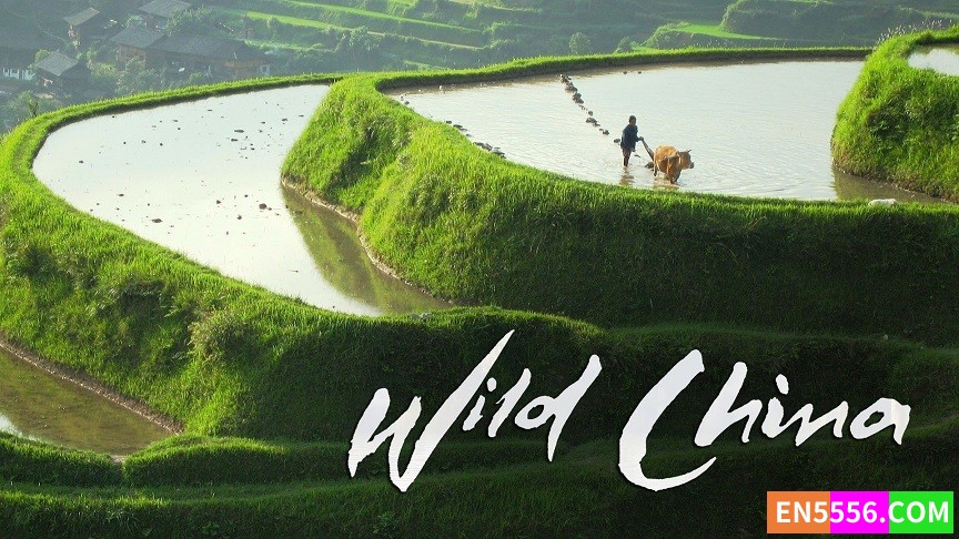 Wild China 美丽中国 第1季 第1-6集 1080P, MKV, SRT外挂英文字幕3376 作者:英语小助手 帖子ID:279890 