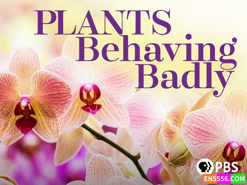Plants Behaving Badly 植物也坏坏/行为恶劣的植物 第1季全 第1-2集 720p 内置英文字幕4392 作者:英语小助手 帖子ID:281302 