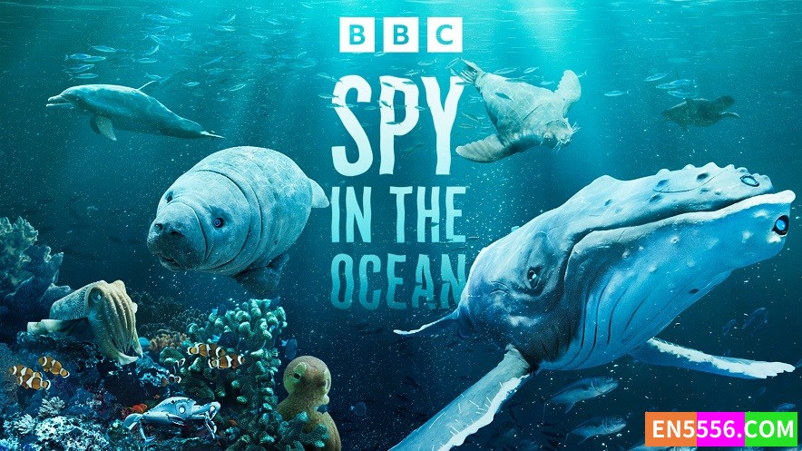 Spy in the Ocean 海洋间谍 第1季全 第1-4集 720p, mp4, 外挂英文可选srt字幕6475 作者:英语小助手 帖子ID:281557 