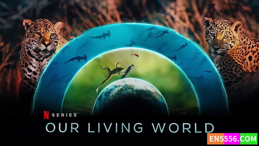 Our Living World 我们的生物世界 第1季全 第1-4集 1080P 内置中英文等多国语言可选字幕9464 作者:英语小助手 帖子ID:282200 