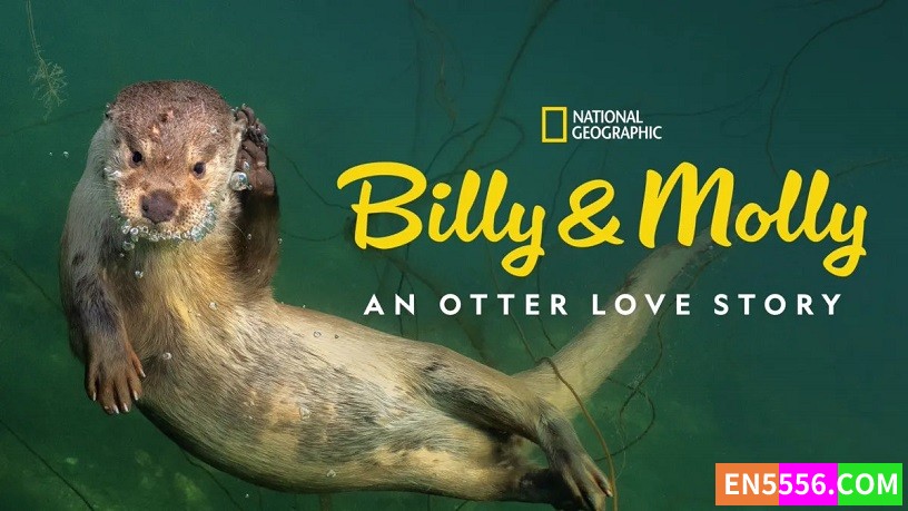 Billy &amp; Molly: An Otter Love Story 比利和莫莉:水獭的爱情故事 1080p, MP4, SRT外挂英文字幕704 作者:英语小助手 帖子ID:282453 